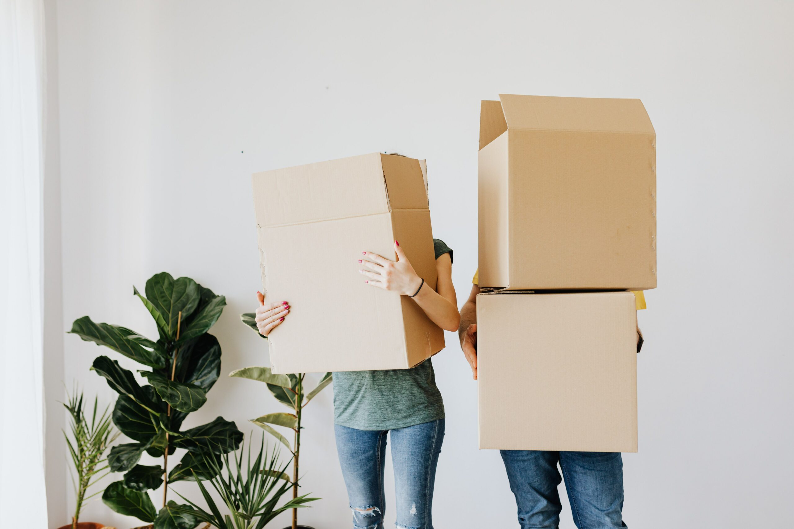 cartons-demenagement-plantes-personnes