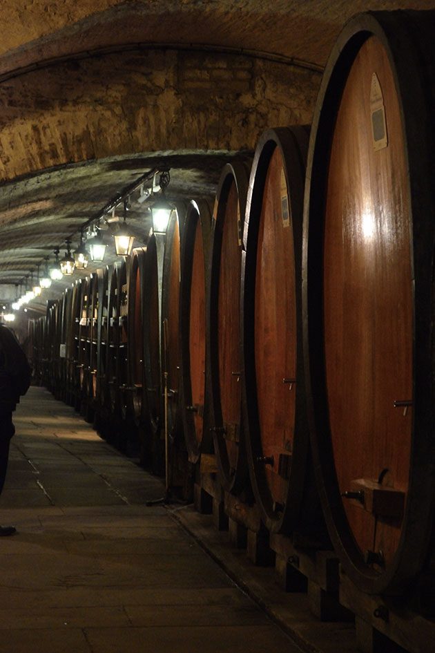cave-historique-hospices-strasbourg